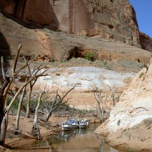 (Hunkydory) Forgotten Canyon