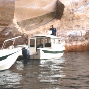 Media '(SEA3PO) Rana Verde' in album '(Cygnet) Wahweap Marina'