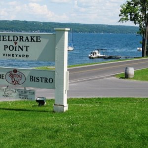 Sheldrake Point Winery with their own boat dock on Cayuga Lake