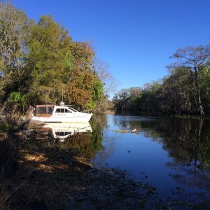 Weekiva River camp