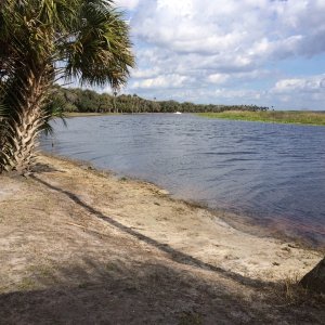 Media 'St.John\'s Water Management district campsite. 4 primative, first come, first served campsites' in album 'Love this spot on Snake Creek'