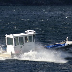 Lake Chelan - Jan,2013 084 - Park Service boat