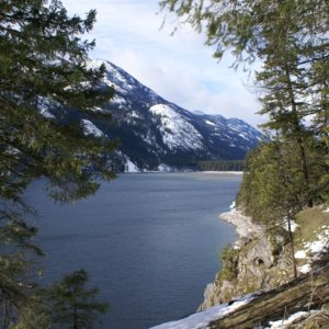 Lake Chelan - Jan,2013 122- Lakeshore Trail near Stehekin