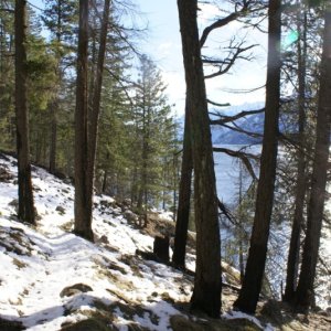 Lake Chelan - Jan,2013 127 - Lakeshore Trail near Stehekin