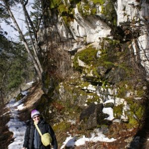 Lake Chelan - Jan,2013 135 - Lakeshore Trail near Stehekin