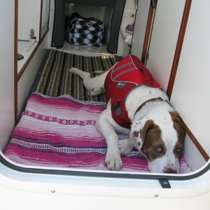 Lazy day on the boat.