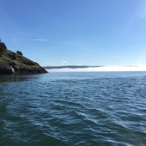 Media 'Hope Island still in fog' in album 'Doing it all over again on Sunday, this time on my buddy Sam's 16.'