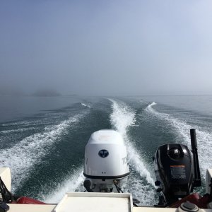 Media 'Cruising around Hope Island. Sam says he needs a radar for the 16.' in album 'Doing it all over again on Sunday, this time on my buddy Sam's 16.'
