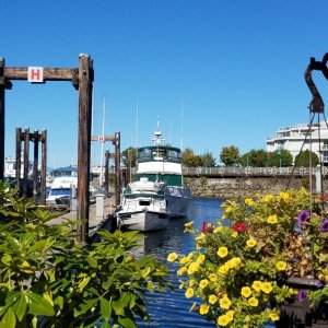 Resting up at Nanaimo after a rough Georgia Strait crossing, and a long 70 mile day.