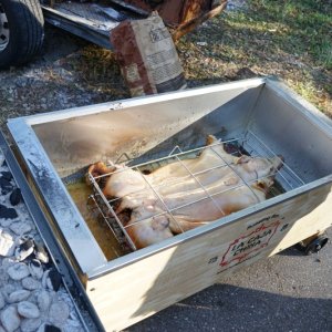 Pig fliped