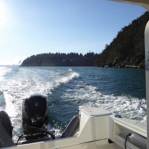 Jan14th-05-Guemes Island