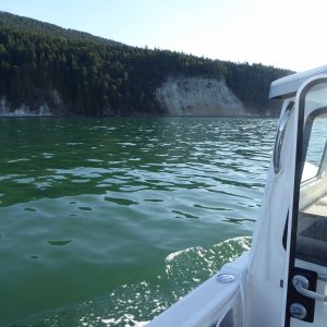 Jan14th-10-Strawberry Bay Cypress