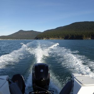 Jan14th-12-South end of Cypress