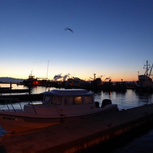 Jan15th-01-Sunrise Sunday