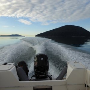 Jan15th-04-Secret Harbor Cypress