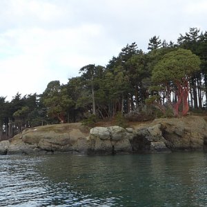Jan15th-08-Clark Island