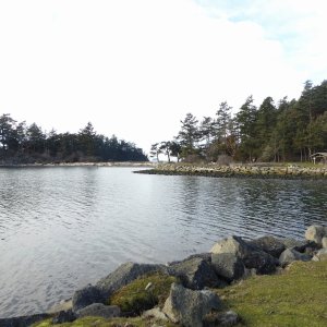 Jan15th-16-Fossil Bay