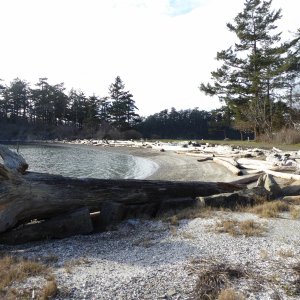 Jan15th-17-Fossil Bay Beach