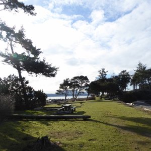 Jan15th-20-Fox Cove Beach