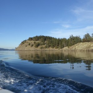 Jan15th-35-Willow Island next to Spencer Spit