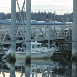 Media 'Jan15th-38-C-dory 19 at Lift' in album 'Jan14th-01-Twin Bridges'
