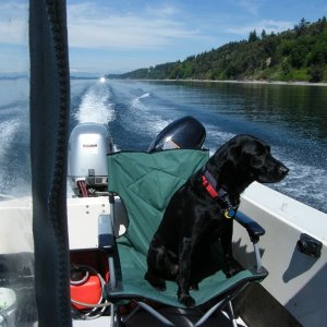 Puck, on her first ride in the 16.