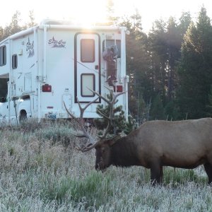By our truck camper