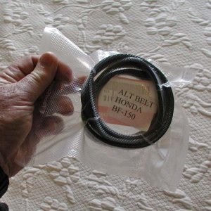 Honda Alternator belt, vacuum bagged with part # tag.