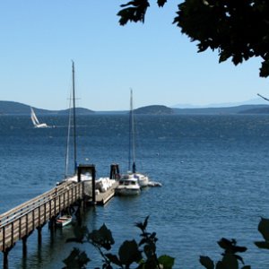 Olga Dock