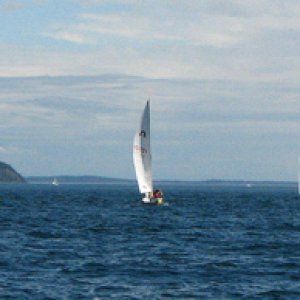 Sails against the blue