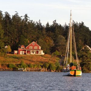 Pastoral scene at Blind Bay