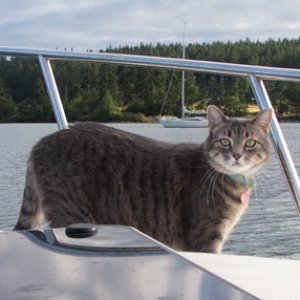Molly on anchor watch