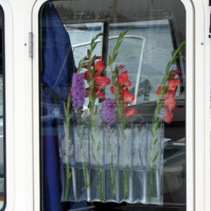 Flowers onboard