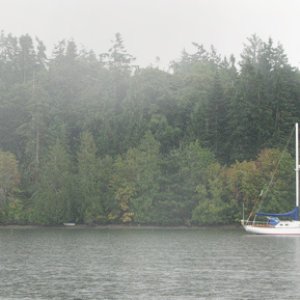 The trees starting to turn color at Blind Bay