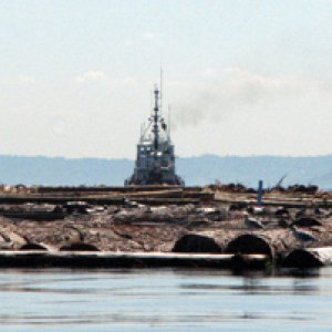 Behind a tug w/logboom