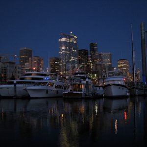 the night skyline from the marina