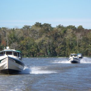 C-Dory Gathering 2009 029