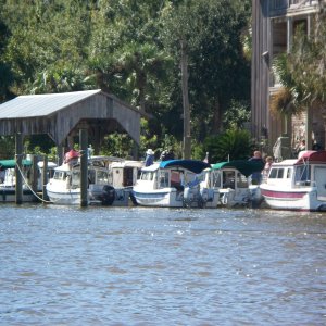 C-Dory Gathering 2009 024