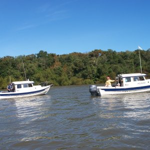 Osprey & Fishwife