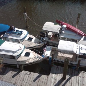 C Dories from above