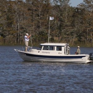 IMG 0108 fishwife