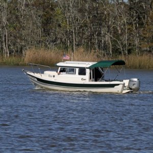 IMG 0134 Falcon unde rway