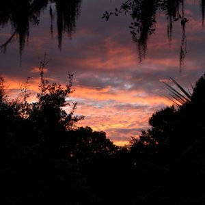 Friday Sunset