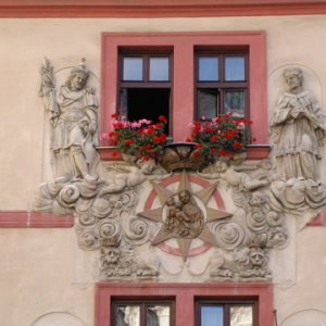 Window4