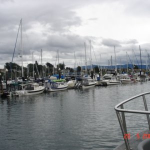 More of P Dock