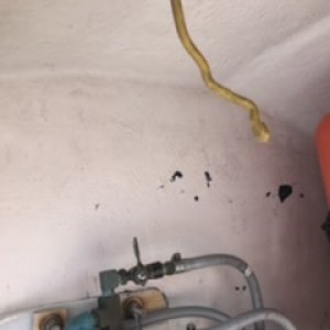 Media 'Chipped paint in cockpit' in album 'At Anchor, British Columbia'