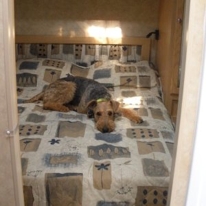 Queen size bed.