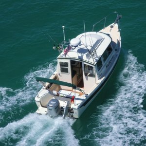 Action shot!  Taken by Marcia from a bridge in the Keys.
