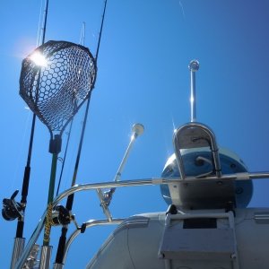 Looking up, port side.