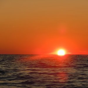 Pelee Island, ON sunset.